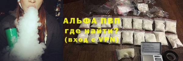 прущие грибы Абинск
