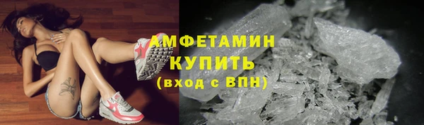 гидра Алексин