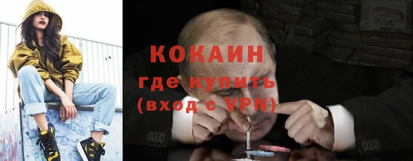 прущие грибы Абинск