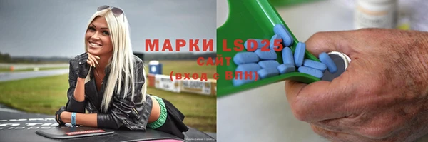 прущие грибы Абинск