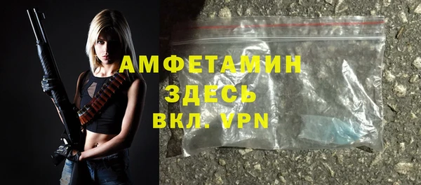 прущие грибы Абинск